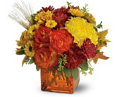 Teleflora's Autumn Expression in McDonough GA, Absolutely Flowers