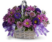 Daisy Day Dreams in McDonough GA Absolutely Flowers