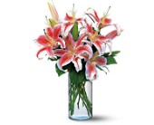 Lovely Lilies in McDonough GA, Absolutely Flowers