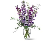 Delphinium Dreams in McDonough GA, Absolutely Flowers