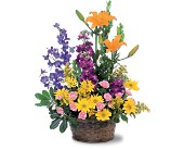 Stylish Thoughts in McDonoughGA, Absolutely Flowers