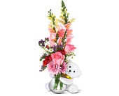 Teleflora's Bear Hug Bear with Pink Roses in McDonough GA, Absolutely Flowers