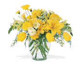 Sunshine Express in McDonough GA, Absolutely Flowers