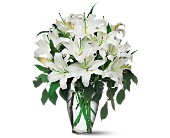 Perfect White Lilies in McDonough GA, Absolutely Flowers