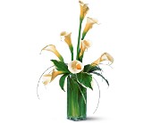 White Callas in McDonough GA, Absolutely Flowers