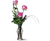 Tender Trio in McDonough GA, Absolutely Flowers