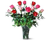 A Dozen Multi-Colored Roses in McDonough GA, Absolutely Flowers