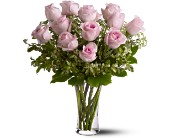 A Dozen Pink Roses in McDonough GA, Absolutely Flowers