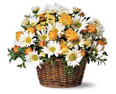 Joyful Roses and Daisies in McDonough GA, Absolutely Flowers