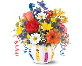 Teleflora's Birthday Celebration in McDonough GA, Absolutely Flowers