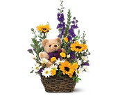 Basket & Bear Arrangement in McDonough GA, Absolutely Flowers