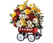 Teleflora's Baby's First Wagon - Boy in McDonough GA, Absolutely Flowers