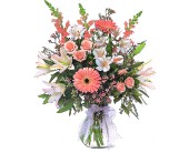 Celebrating Baby Girl in McDonough GA, Absolutely Flowers