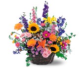 Summertime Sensation Basket in McDonough GA, Absolutely Flowers