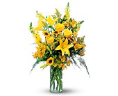 Burst of Yellow in McDonough GA, Absolutely Flowers