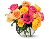 Multi-Colored Roses in McDonough GA, Absolutely Flowers