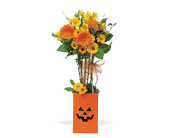 Bewitching Bouquet in McDonough GA, Absolutely Flowers