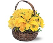 Yellow Flower Basket in McDonough GA, Absolutely Flowers