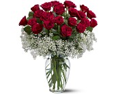 Field of Roses in McDonough GA, Absolutely Flowers