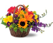 Basket of Blooms in McDonough GA, Absolutely Flowers
