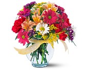 Joyful and Thrilling in McDonough GA, Absolutely Flowers