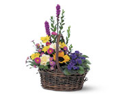 Basket of Glory in McDonough GA, Absolutely Flowers