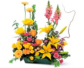Celebrate in Style in McDonough GA, Absolutely Flowers