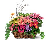 Deluxe European Garden Basket in McDonough GA, Absolutely Flowers