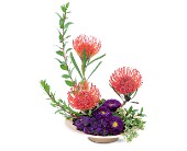 Protea Paradise in McDonoughGA, Absolutely Flowers