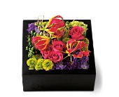 Pav Texture Square in McDonoughGA, Absolutely Flowers
