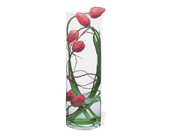 Tulip Under Glass in McDonoughGA, Absolutely Flowers