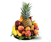 Delightful Fruit Tray in McDonough GA, Absolutely Flowers