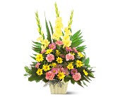 Warm Thoughts Arrangement in McDonough GA, Absolutely Flowers
