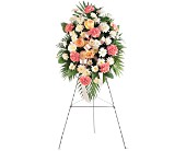 Gentle Thoughts Spray in McDonough GA, Absolutely Flowers