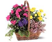 Blooming Garden Basket in McDonough GA, Absolutely Flowers