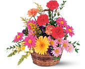 Vibrant Basket Arrangement in McDonough GA, Absolutely Flowers
