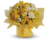 Teleflora's Sunshine Surprise in McDonoughGA, Absolutely Flowers