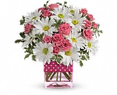 Teleflora's Polka Dots and Posies in McDonough GA, Absolutely and McDonough Flowers & Gifts