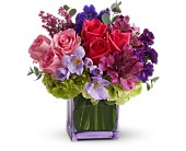 Exquisite Beauty by Teleflora in McDonough GA, Absolutely Flowers