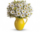 Teleflora's Sunny Day Pitcher of Daisies in McDonough GA Absolutely Flowers