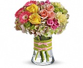 Fashionista Blooms in McDonough GA, Absolutely Flowers