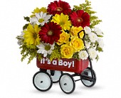 Baby's Wow Wagon by Teleflora - Boy in McDonough GA Absolutely Flowers