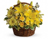 Basket Full of Wishes in McDonough GA Absolutely Flowers