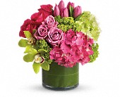 New Sensations in McDonough GA Absolutely Flowers