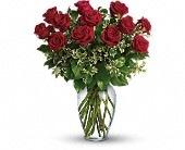 Always on My Mind - Long Stemmed Red Roses in McDonough GA, Absolutely and McDonough Flowers & Gifts