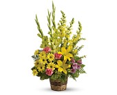 Vivid Recollections in McDonough GA Absolutely Flowers