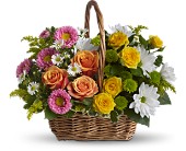 Sweet Tranquility Basket in McDonough GA Absolutely and McDonough Flowers & Gifts