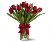 Radiantly Red Tulips in McDonough GA Absolutely Flowers