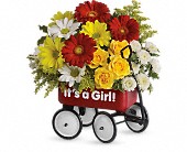 Baby's Wow Wagon by Teleflora - Girl in McDonough GA Absolutely Flowers