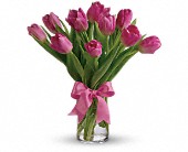 Precious Pink Tulips in McDonough GA Absolutely Flowers
